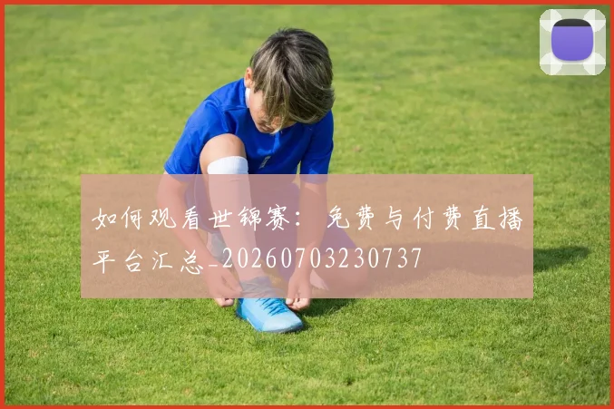 如何观看世锦赛:免费与付费直播平台汇总_20260703230737