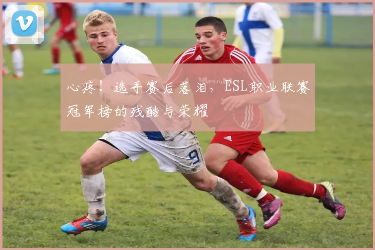 心疼！选手赛后落泪，ESL职业联赛冠军榜的残酷与荣耀